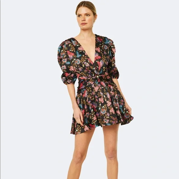 NWT! MISA Los Ángeles Narcissa Dress - Picture 4 of 6